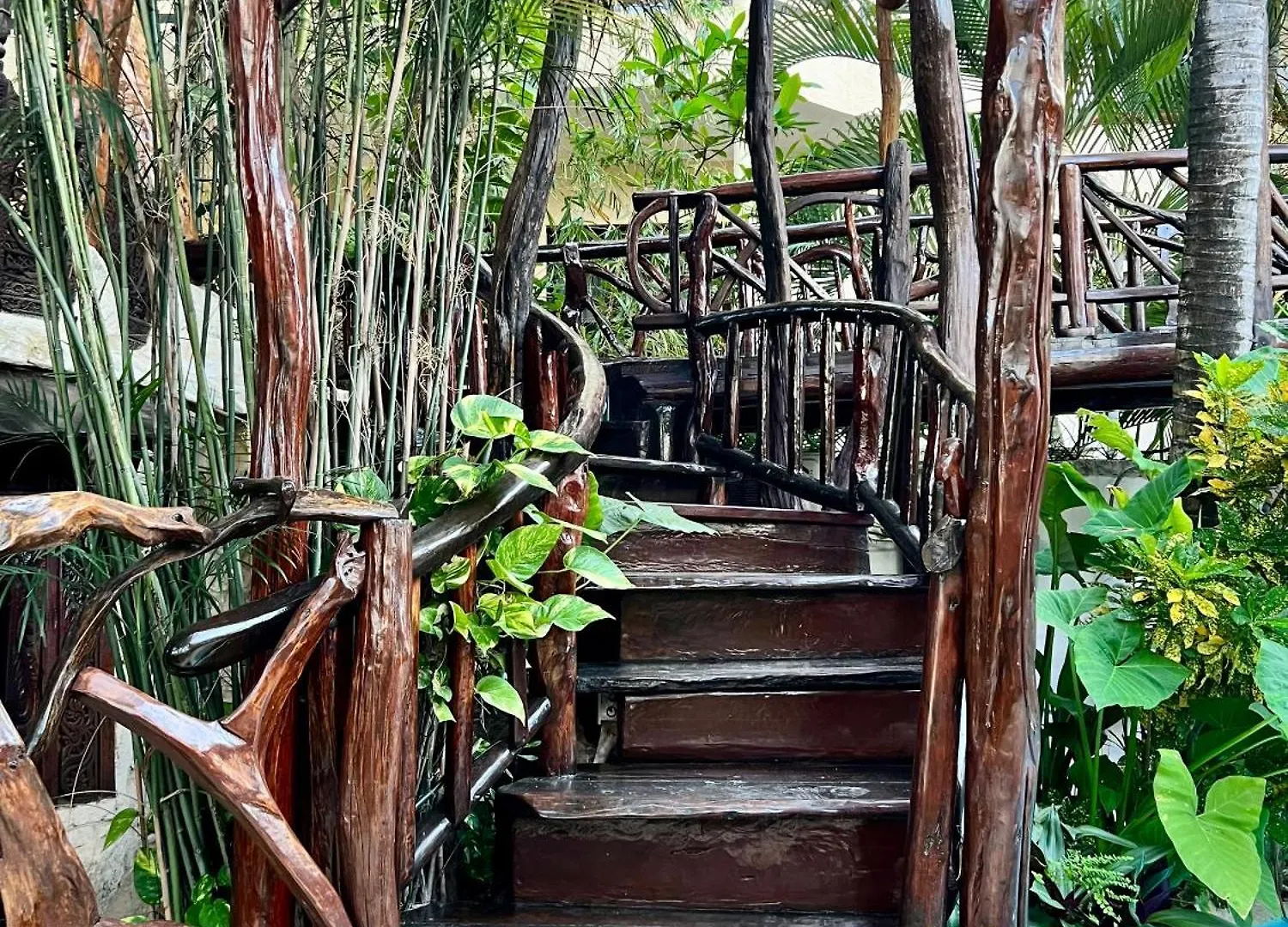 Bed and Breakfast La Quinta Orquidea Puerto Morelos Bed & Breakfast