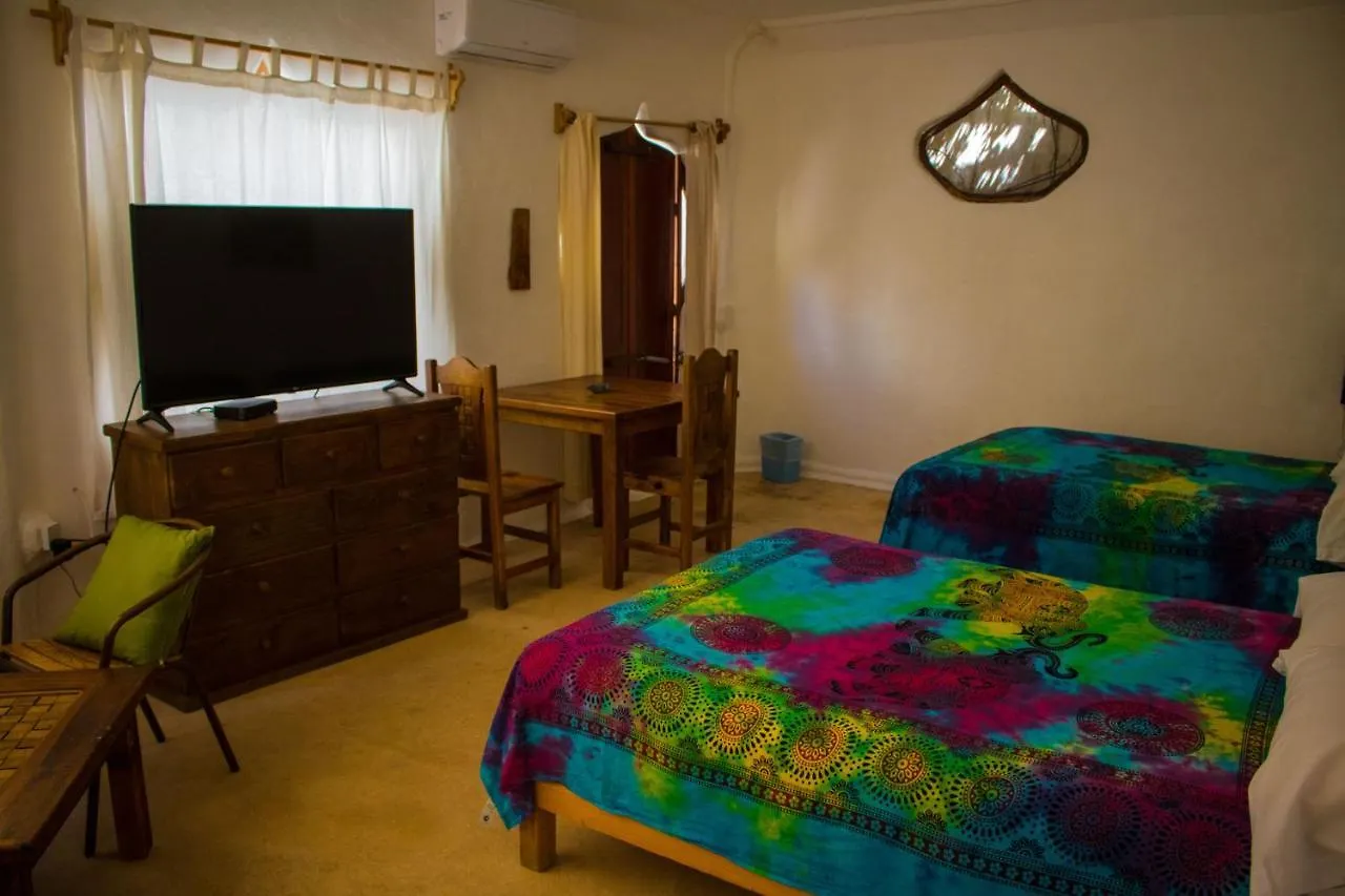 La Quinta Orquidea Bed & Breakfast Puerto Morelos