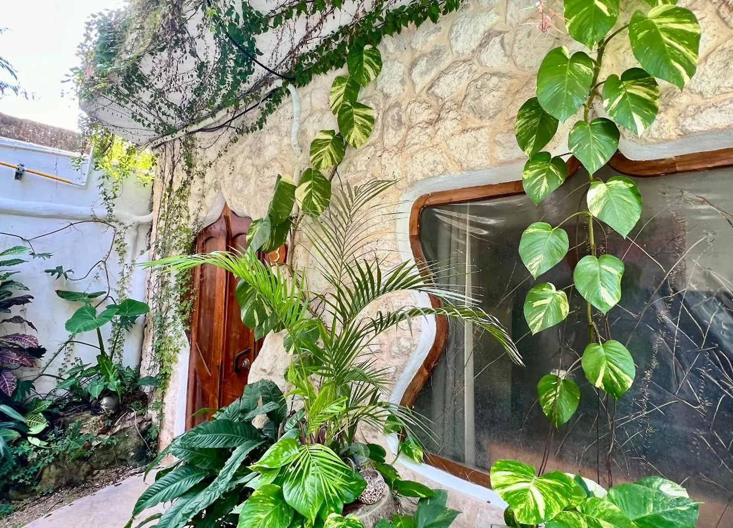 プエルト・モレロス La Quinta Orquidea Bed & Breakfast