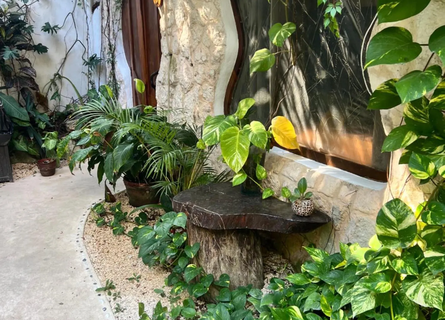 La Quinta Orquidea Bed & Breakfast Puerto Morelos